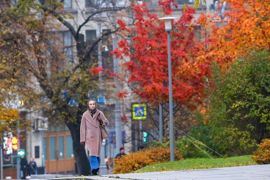 Что изменится в жизни россиян в ноябре. 6 нововведений