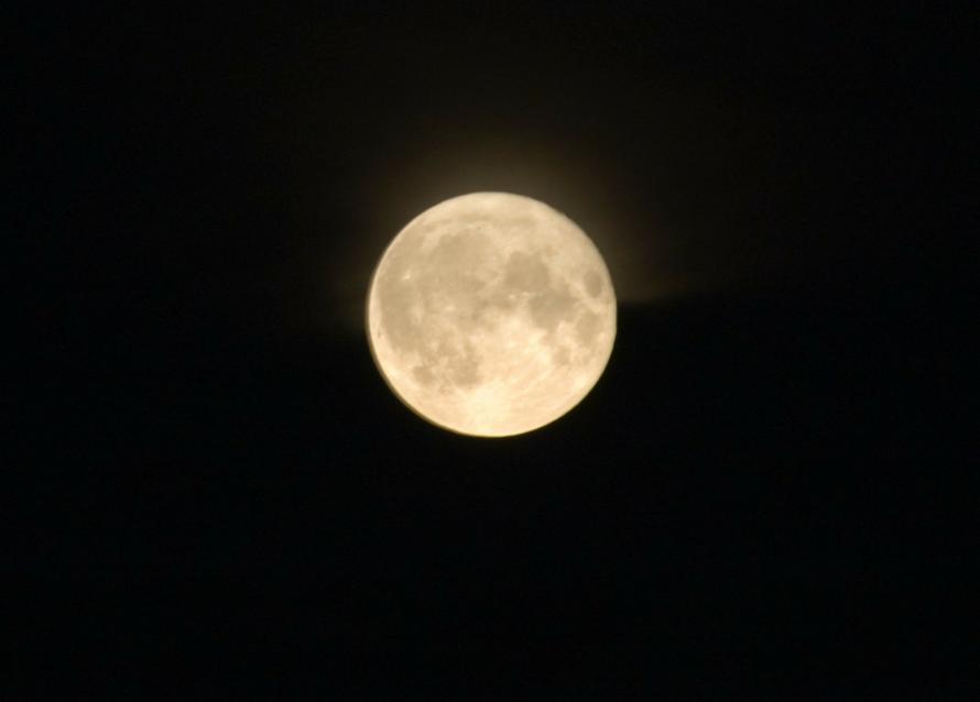 Над Россией взойдёт «бобровая луна». Кто и когда сможет её увидеть