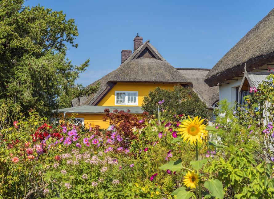 Россиянам рассказали, как сэкономить на дачных платежах. Есть три способа