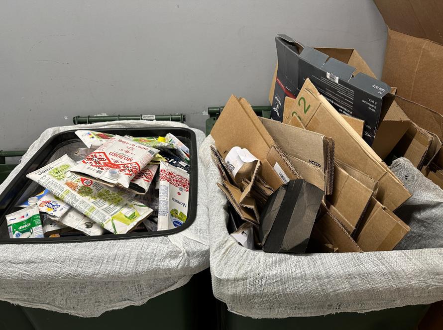 Что нельзя выбрасывать в мусорный контейнер и какие за это штрафы? Ответ юриста