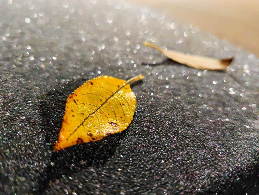 Какая погода ждёт москвичей в выходные? У зимы пока нет шансов