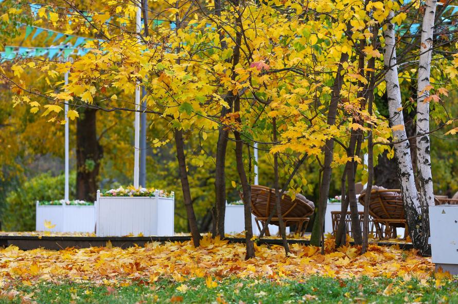 Где в России уже наступила холодная зима, а где ещё можно позагорать? Рассказали в Гидрометцентре