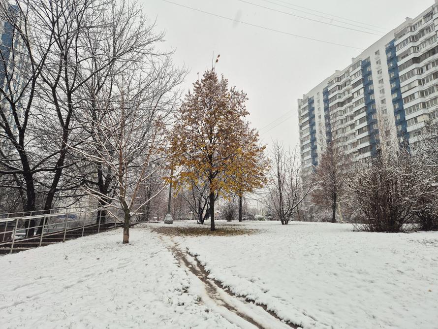 Когда снег в Москве не просто выпадет, но и останется лежать? Что говорят синоптики