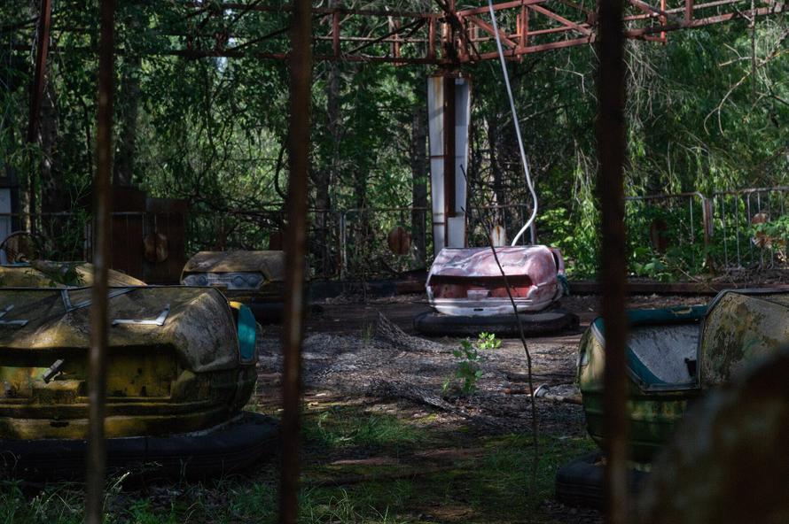 В Чернобыле нашли новую форму жизни. Как это поможет космонавтам