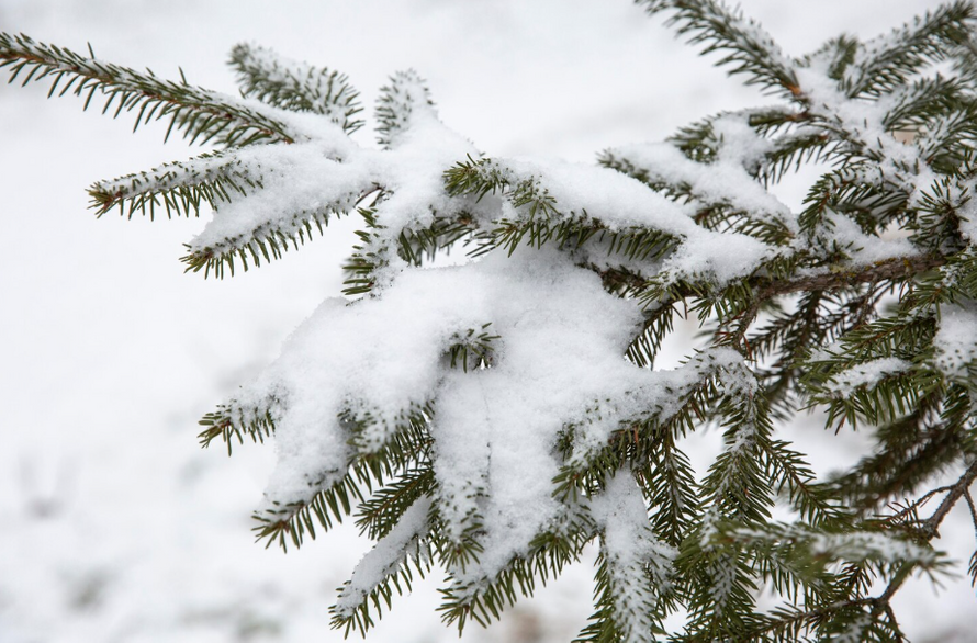 Снег накроет почти всю территорию России на следующей неделе. Ожидается похолодание