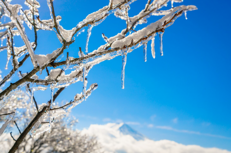 Москвичам пообещали первые морозы. Что говорят синоптики