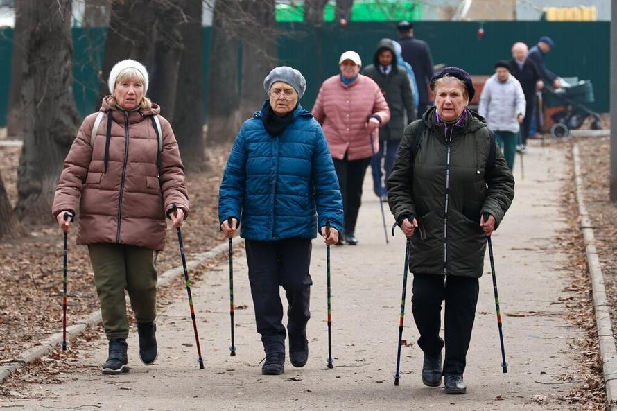 Россиян без трудового стажа предложили оставить без пенсии. Главное