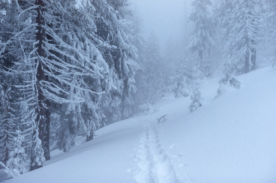 В России нашли самое холодное место на Земле. Где оно находится