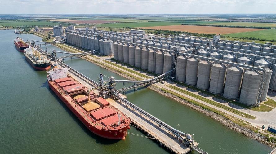 Китай в 3,5 раза увеличил закупки российской пшеницы. Россия потеснила конкурентов